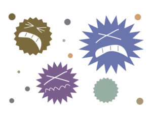 カビ、コケ、各種菌を除去_900×700